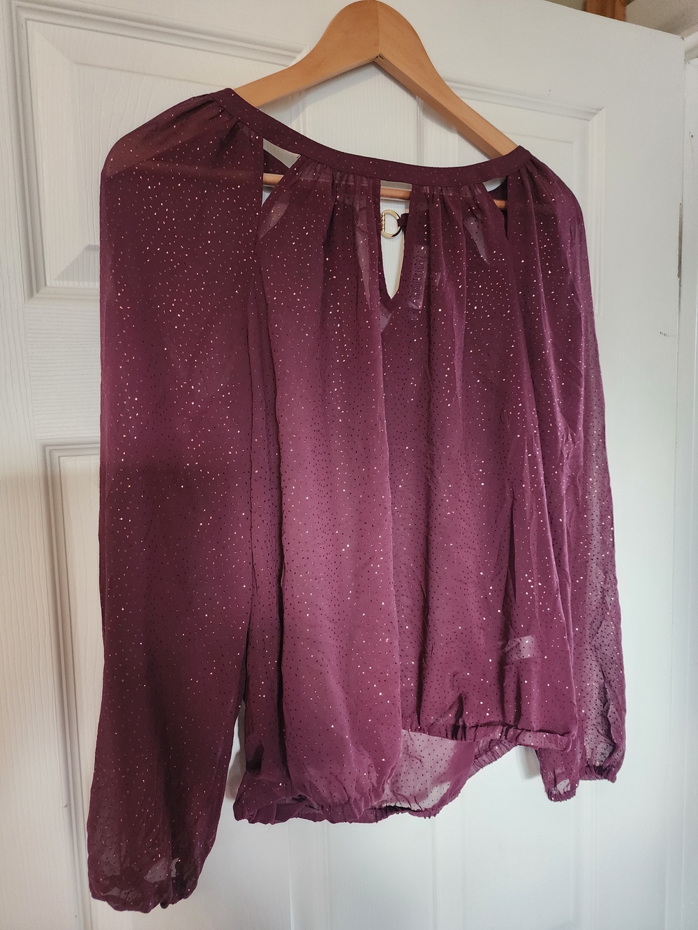 Jennifer Lopez Sheer, Shimmery Long-Sleeve Peasant Blouse in Plum - Picture 2 of 6